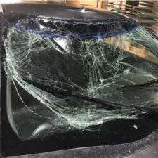Windshield 1